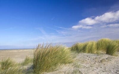 8 tips voor de perfecte teambuilding activiteit!